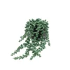 12cm String Of Pearls Artificial Plant In Black Ceramic Pot -Greenie Shop 12cm string of pearls artificial plant in black ceramic pot5010795682591 01c bq