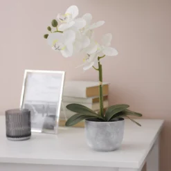 25cm White Orchid Artificial Plant In Grey Ceramic Pot 7 25cm White Orchid Artificial Plant In Grey Ceramic Pot -Greenie Shop 25cm white orchid artificial plant in grey ceramic pot5010795682669 01i