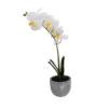 25cm White Orchid Artificial Plant In Grey Ceramic Pot 2 25cm White Orchid Artificial Plant In Grey Ceramic Pot -Greenie Shop 25cm white orchid artificial plant in grey ceramic pot5010795682669 02c bq