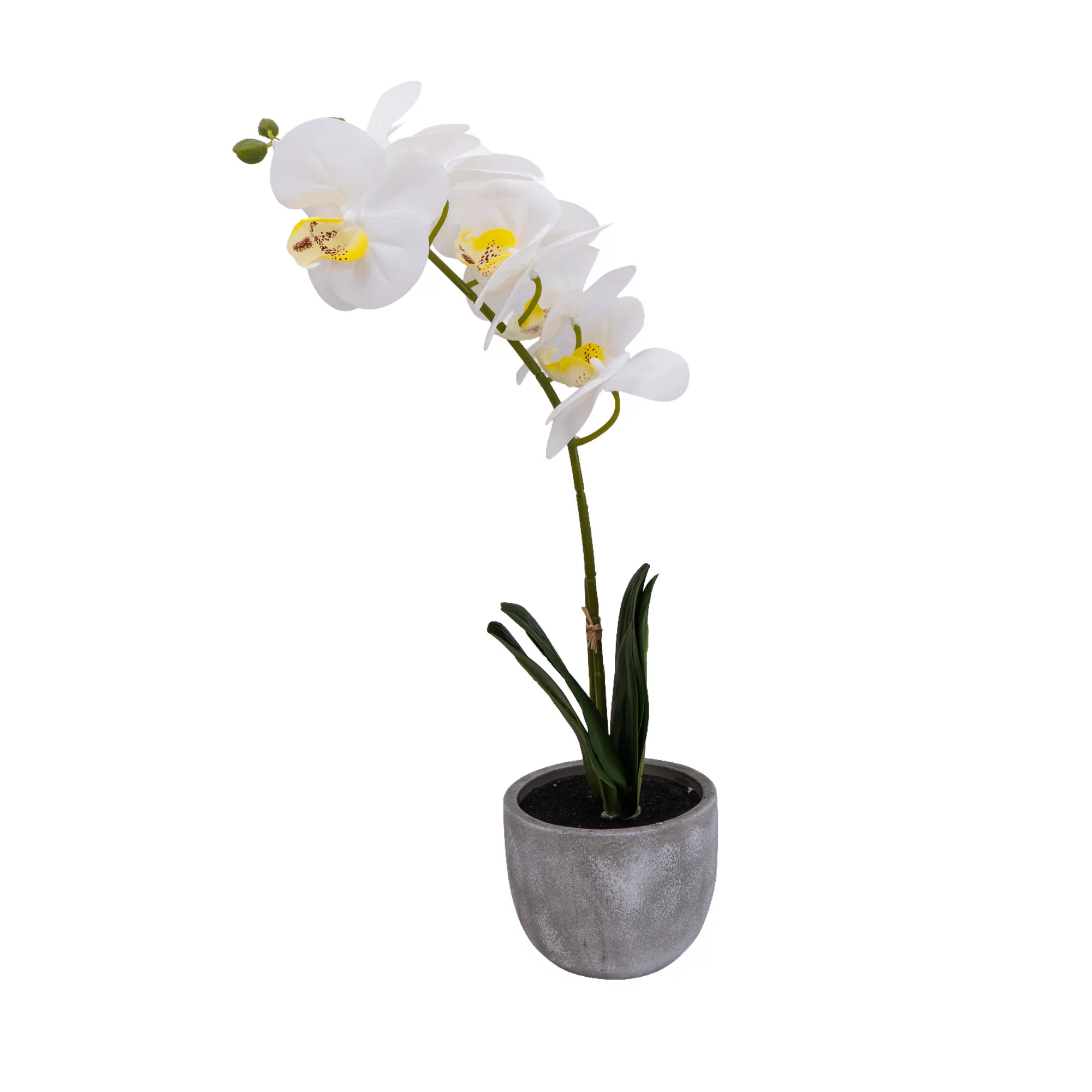 25cm White Orchid Artificial Plant In Grey Ceramic Pot 3 25cm White Orchid Artificial Plant In Grey Ceramic Pot