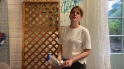 Greenie Shop -Greenie Shop 2ft diamond lattice pine trellis panel pack of 3 w 183cm x h 61cm5013053174005 ven en bq