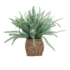 43cm Fern Artificial Plant In Brown Seagrass Basket 2 43cm Fern Artificial Plant In Brown Seagrass Basket -Greenie Shop 43cm fern artificial plant in brown seagrass basket5010795674527 01c bq