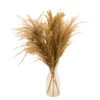 49cm Natural Pampas Grass Artificial Plant In Clear Glass Vase 2 49cm Natural Pampas Grass Artificial Plant In Clear Glass Vase -Greenie Shop 49cm natural pampas grass artificial plant in clear glass vase5010795682621 01c bq
