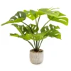 50cm Cheese Plant Artificial Plant In Grey Ceramic Pot 2 50cm Cheese Plant Artificial Plant In Grey Ceramic Pot -Greenie Shop 50cm cheese plant artificial plant in grey ceramic pot5010795630837 01c bq