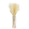 64cm White Pampas Grass Artificial Plant In Clear Glass Vase -Greenie Shop 64cm white pampas grass artificial plant in clear glass vase5010795682614 03c bq