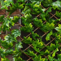 Apollo Maple Leaf Willow Trellis Panel (W)200cm X (H)100cm 7 Apollo Maple Leaf Willow Trellis Panel (W)200cm X (H)100cm -Greenie Shop apollo maple leaf willow trellis panel w 200cm x h 100cm5037653779309 02i bq