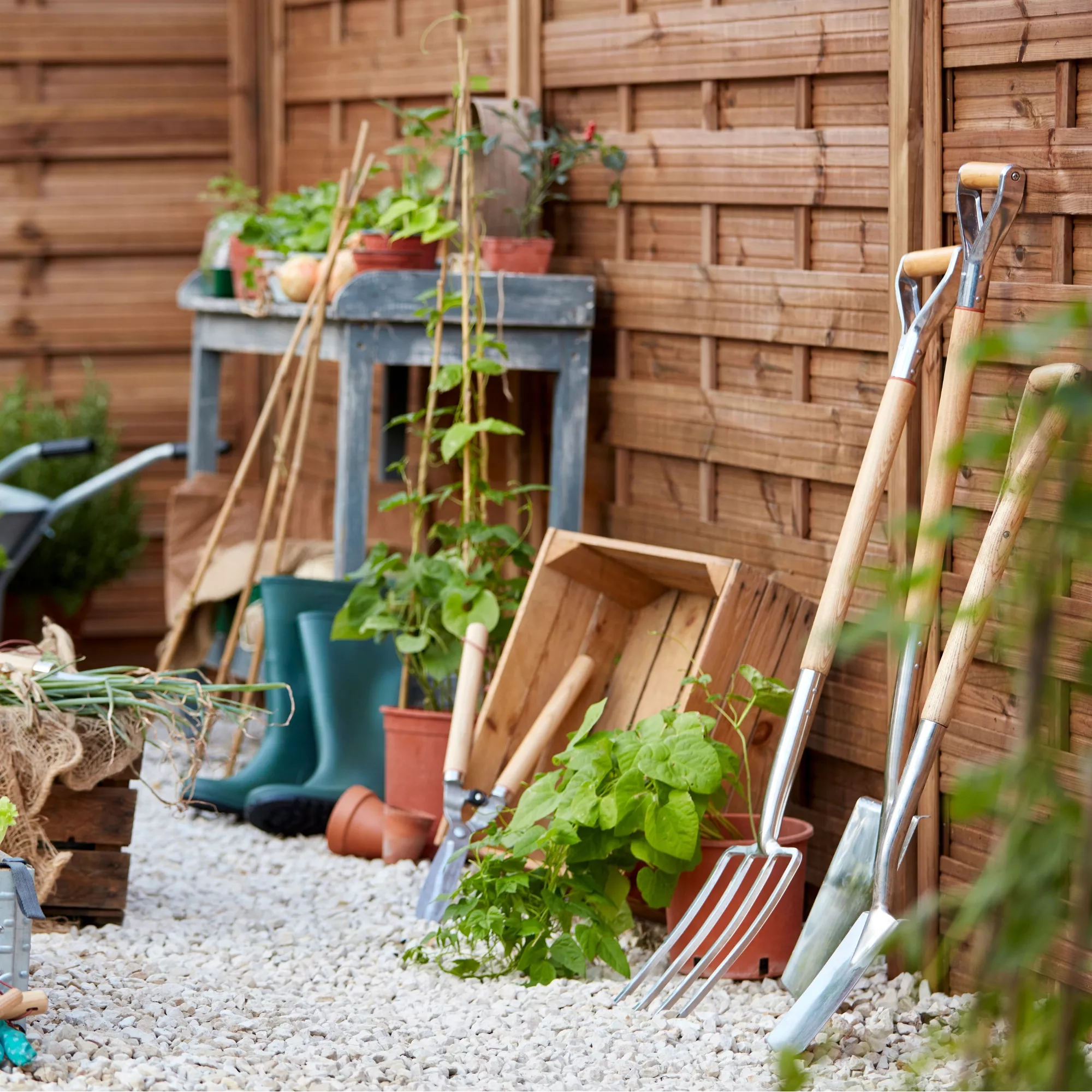 Greenie Shop 39 Greenie Shop -Greenie Shop blooma douro pine gate h 1 8m w 0 9m3663602431688 04bq