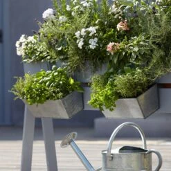 Blooma Rural Argent Metal Rectangular Trough -Greenie Shop blooma rural argent metal rectangular trough3663602733911 02bq