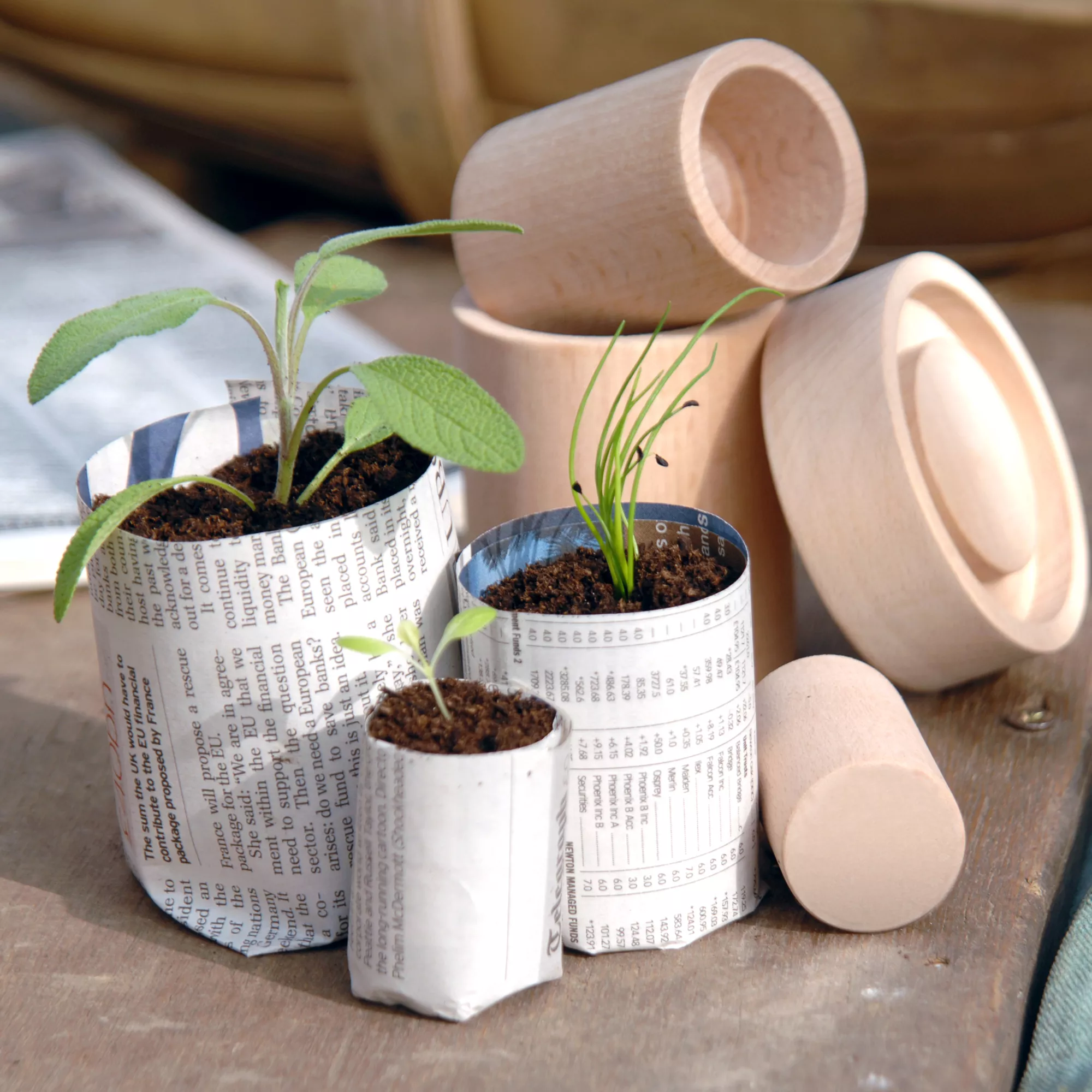 Burgon & Ball Eco Pot Maker Kit 5 Burgon & Ball Eco Pot Maker Kit - Image 3