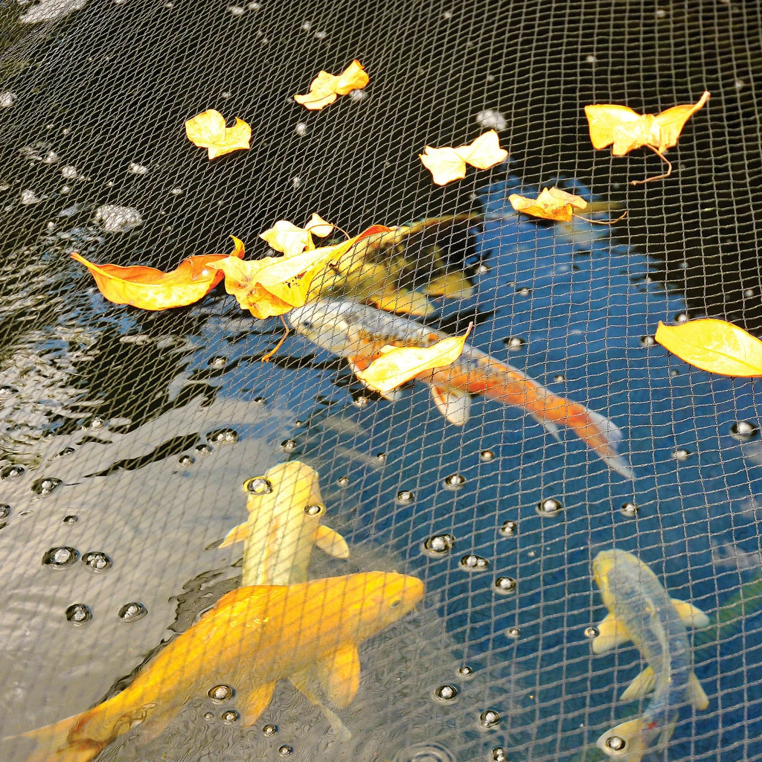 Hozelock Polyester Pond Cover Net 0.23x0.11m 3 Hozelock Polyester Pond Cover Net 0.23x0.11m