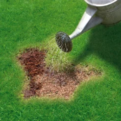 Miracle-Gro Patch Magic Lawn Patch Repairer 13m² 1L 1kg 9 Miracle-Gro Patch Magic Lawn Patch Repairer 13m² 1L 1kg -Greenie Shop miracle gro patch magic lawn patch repairer 13m 1l 1kg5010272090567 02i bq