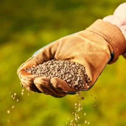 Miracle-Gro Perform Universal Plant Feed Granules 2kg 7 Miracle-Gro Perform Universal Plant Feed Granules 2kg -Greenie Shop miracle gro perform universal plant feed granules 2kg5010272189032 01i BQ