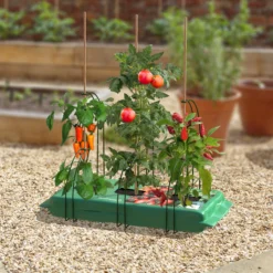 Panacea Steel Curved Plant Support Frame (L)47cm (Dia)35cm, Set Of 3 5 Panacea Steel Curved Plant Support Frame (L)47cm (Dia)35cm, Set Of 3 -Greenie Shop panacea steel curved plant support frame l 47cm dia 35cm set of 30093432825488 01i bq