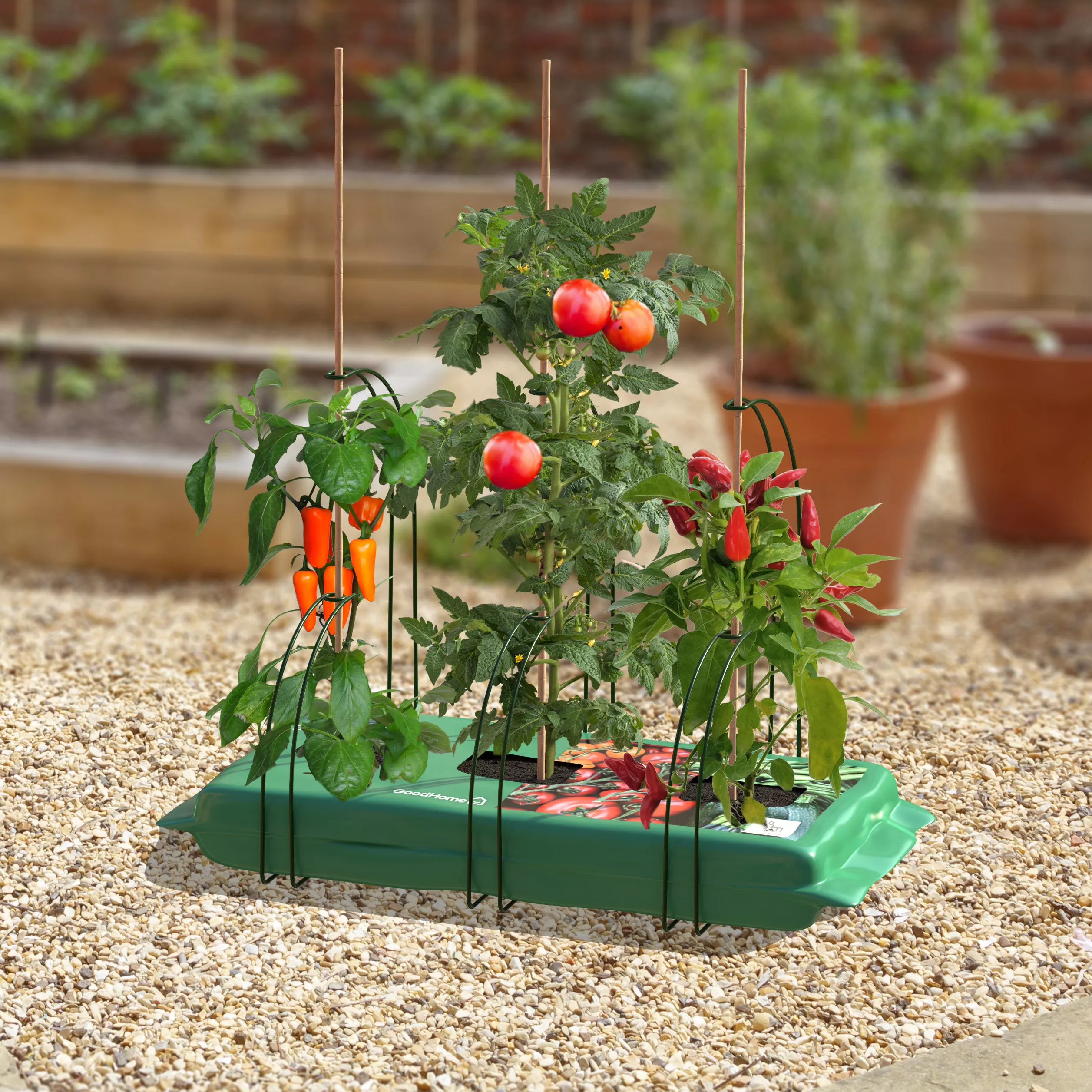 Panacea Steel Curved Plant Support Frame (L)47cm (Dia)35cm, Set Of 3 4 Panacea Steel Curved Plant Support Frame (L)47cm (Dia)35cm, Set Of 3 - Image 2