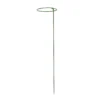 Panacea Steel Single Stem Plant Support (L)75cm (Dia)15cm, Pack Of 3 2 Panacea Steel Single Stem Plant Support (L)75cm (Dia)15cm, Pack Of 3 -Greenie Shop panacea steel single stem plant support l 75cm dia 15cm pack of 30093432825433 01c bq