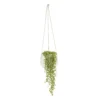String Of Beads In 13cm White Ceramic Hanging Pot 2 String Of Beads In 13cm White Ceramic Hanging Pot -Greenie Shop string of beads in 13cm white ceramic hanging pot3663602497356 02c bq