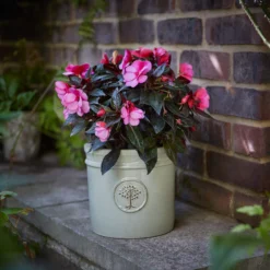 Verve Barcău Olive Ceramic Circular Plant Pot (Dia)20cm 7 Verve Barcău Olive Ceramic Circular Plant Pot (Dia)20cm -Greenie Shop verve barcau olive ceramic circular plant pot dia 20cm5059340327747 01i