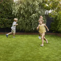 Verve Family & Sports Grass Seeds, 1.5kg -Greenie Shop verve family sports grass seeds 1 5kg3663602947516 02i