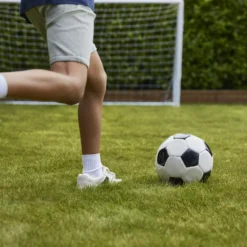 Verve Family & Sports Grass Seeds, 10kg 19 Verve Family & Sports Grass Seeds, 10kg -Greenie Shop verve family sports grass seeds 10kg3663602947516 06i