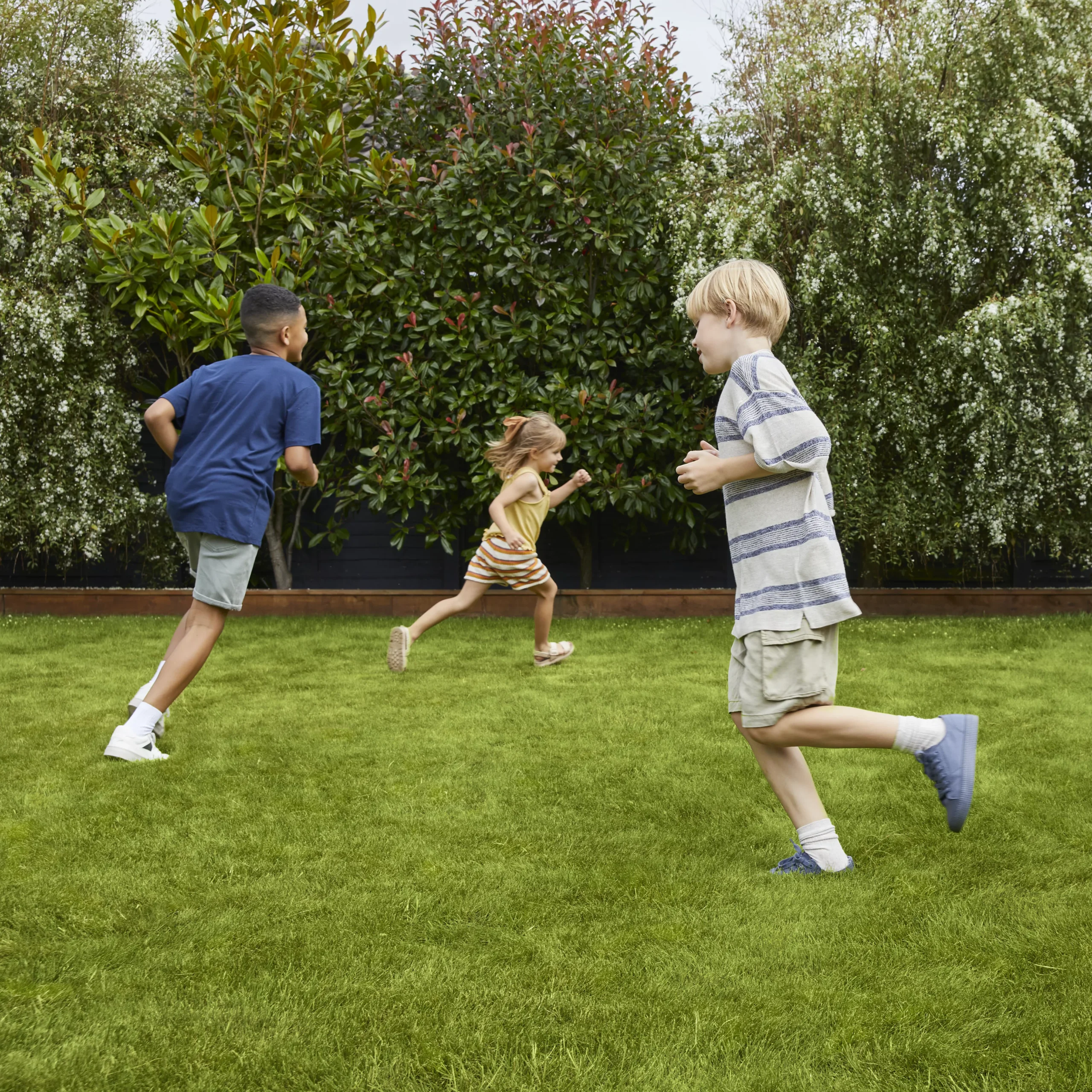 Verve Family & Sports Grass Seeds, 5kg 4 Verve Family & Sports Grass Seeds, 5kg - Image 2