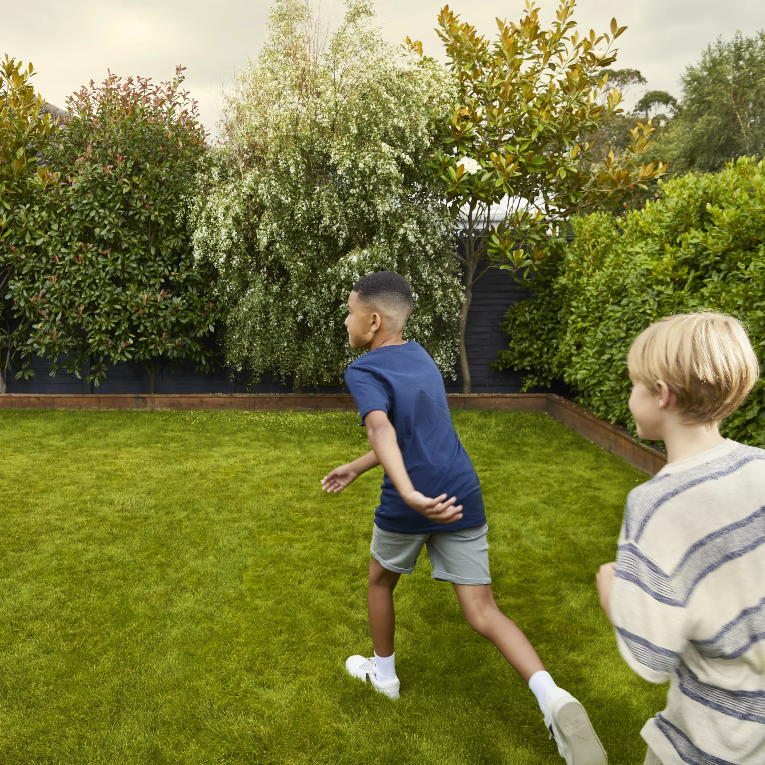 Verve Family & Sports Grass Seeds, 5kg 6 Verve Family & Sports Grass Seeds, 5kg - Image 4