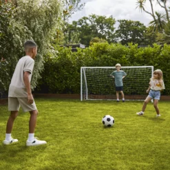 Verve Family & Sports Grass Seeds, 5kg 22 Verve Family & Sports Grass Seeds, 5kg -Greenie Shop verve family sports grass seeds 5kg3663602947516 09i