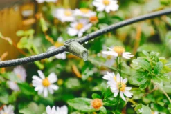 Verve Irrigation Kit 20 Pieces -Greenie Shop verve irrigation kit 20 pieces5063022059888 02i