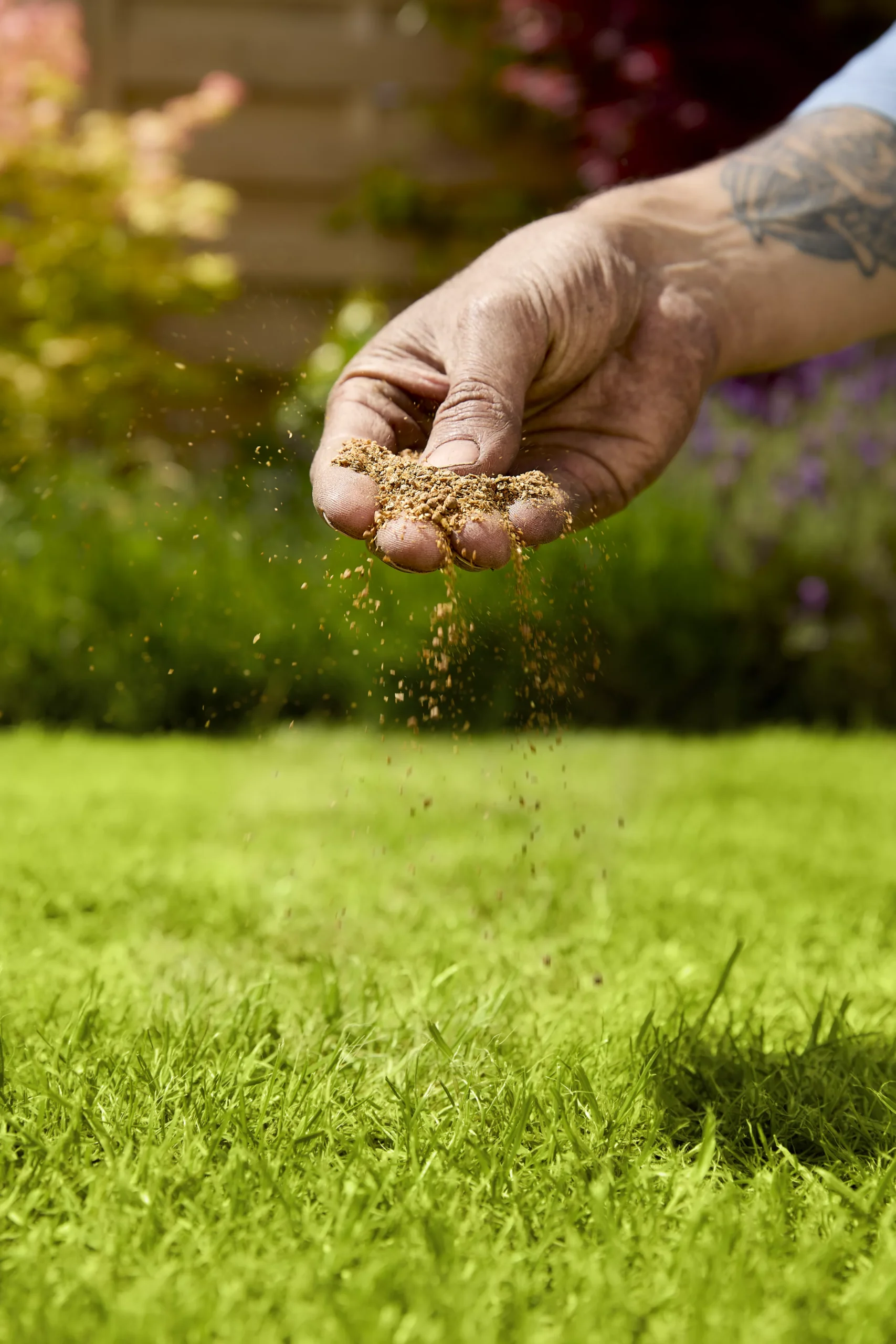 Verve Mamaterra Lawn Feed Granules 100m² 2.5kg 5 Verve Mamaterra Lawn Feed Granules 100m² 2.5kg - Image 3