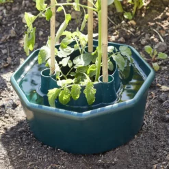 Verve Plastic Plant Support 28cm, Pack Of 3 7 Verve Plastic Plant Support 28cm, Pack Of 3 -Greenie Shop verve plastic plant support 28cm pack of 33663602557715 01i