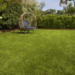 Verve Sunny Grass Seeds, 5kg 8 Verve Sunny Grass Seeds, 5kg -Greenie Shop verve sunny grass seeds 5kg3663602947578 01i