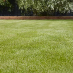 Verve Universal Grass Seeds, 5kg -Greenie Shop verve universal grass seeds 5kg3663602947455 01i