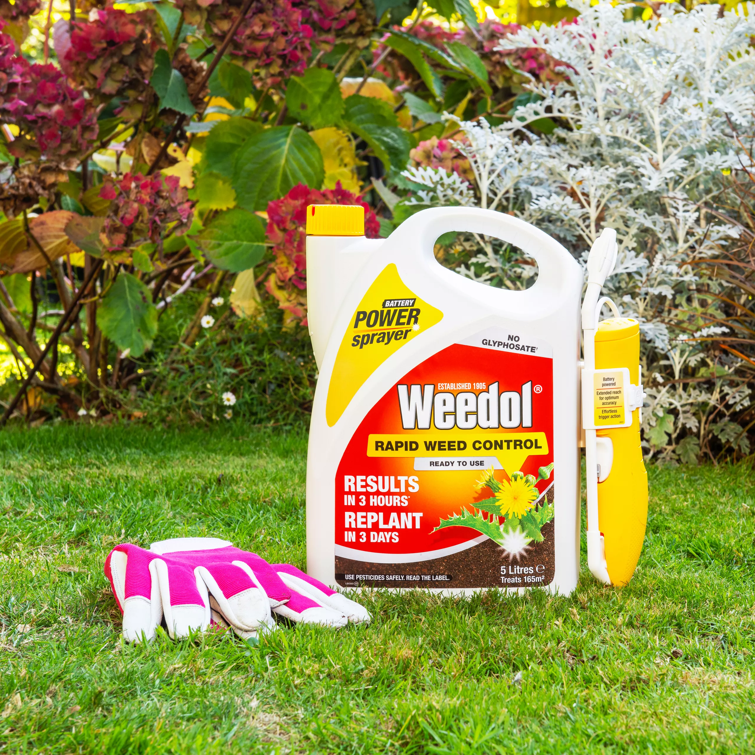 Weedol Rapid Weed Killer 5L 5 Weedol Rapid Weed Killer 5L - Image 3